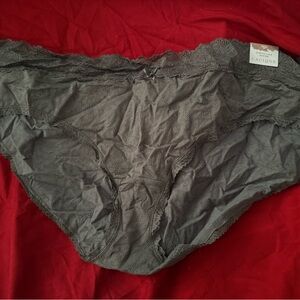 NWT Cacique Gray Stretch Lace Hipster Panty
